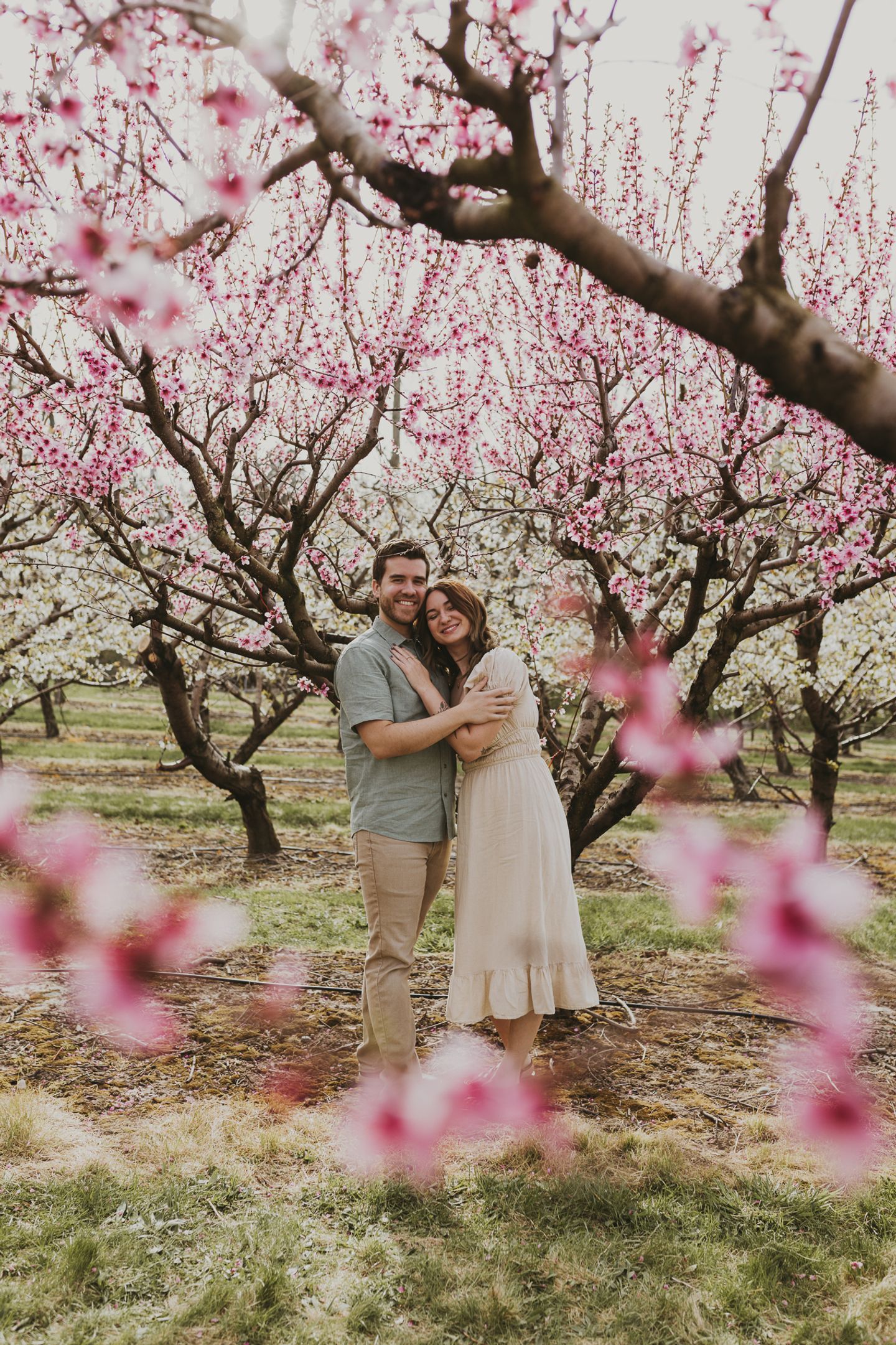Couples Photoshoot at Robinette's in the Peach Blossoms